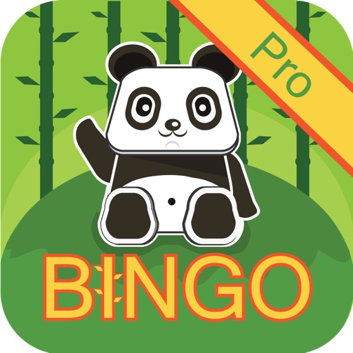 Panda Bingo Pro icon