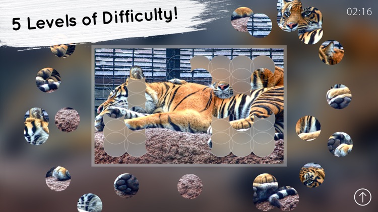 Venn Tigers: Overlapping Jigsaw Puzzles