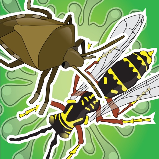 Stink Bug vs Wasp iOS App