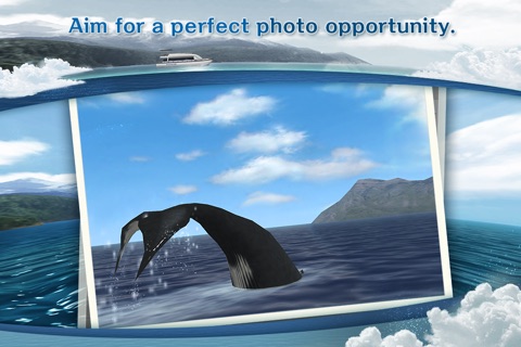 REAL WHALES  Find the cetacean! screenshot 3