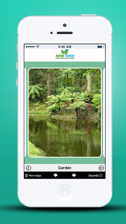 Nature Sounds for Relaxation screenshot-3
