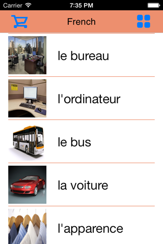 1500 Basic French Words screenshot 2