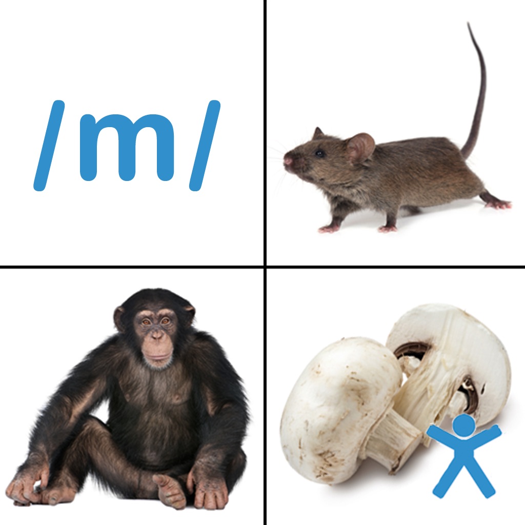 object identification from i can do apps