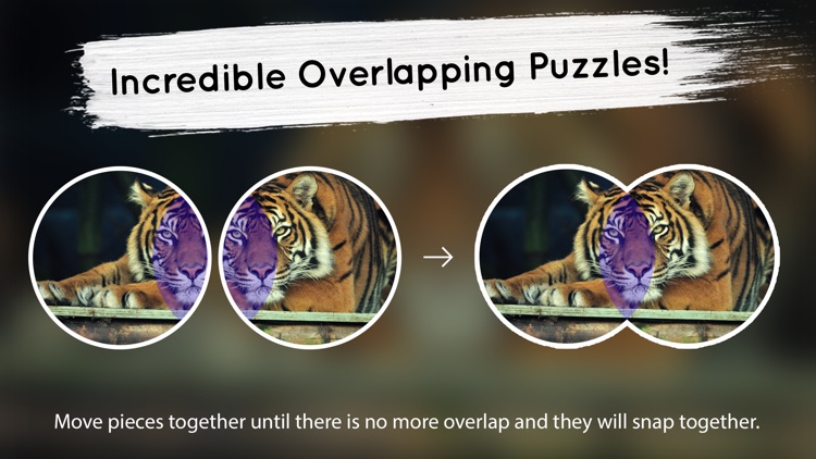 Venn Tigers: Overlapping Jigsaw Puzzles