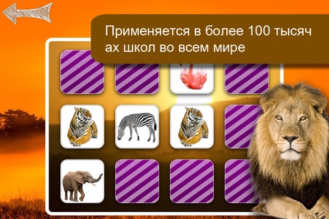 Memo Game Wild Animals Photo screenshot 4