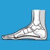 Healthy Ankle