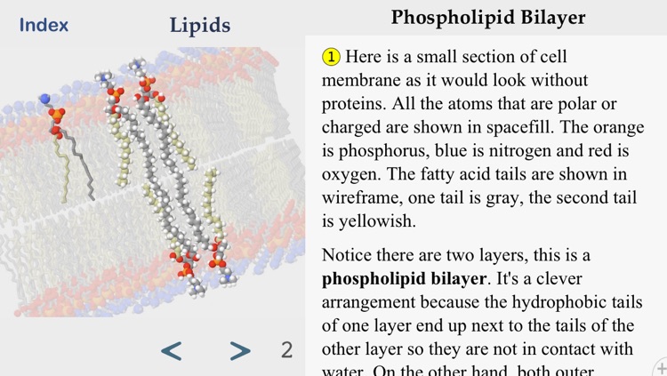 MacroMole screenshot-4