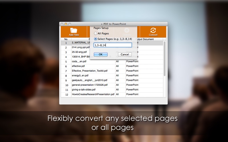 + PDF to PowerPoint thumbnail 3