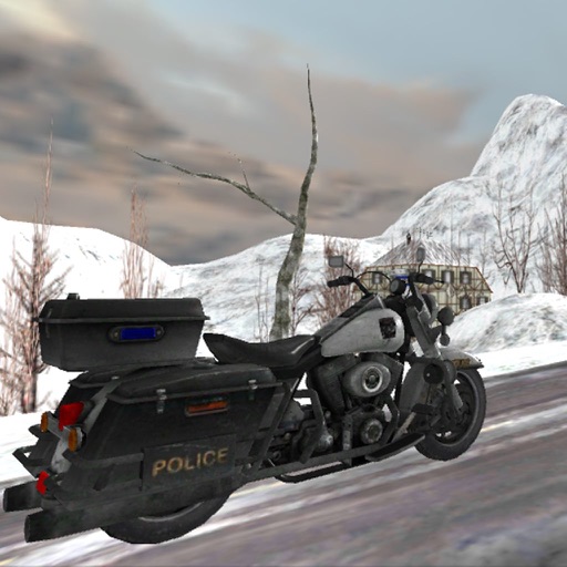 Police Motorcycle