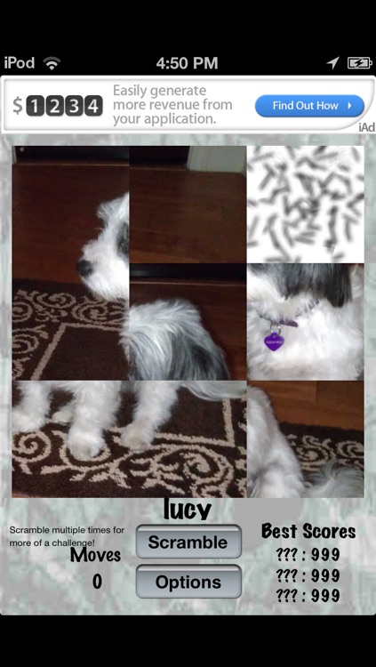 Your Photo Shuffle Puzzle