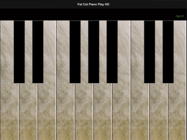 Fat Cat Piano FREE for iPad(圖1)-速報App