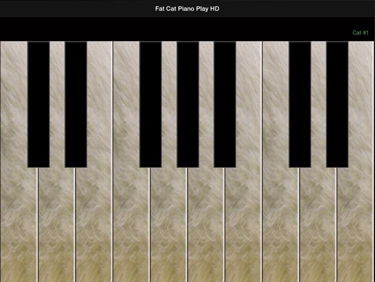 Fat Cat Piano FREE for iPad