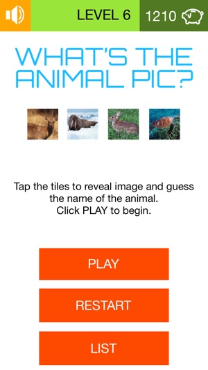 What's The Animal Name (100 Puzzles)