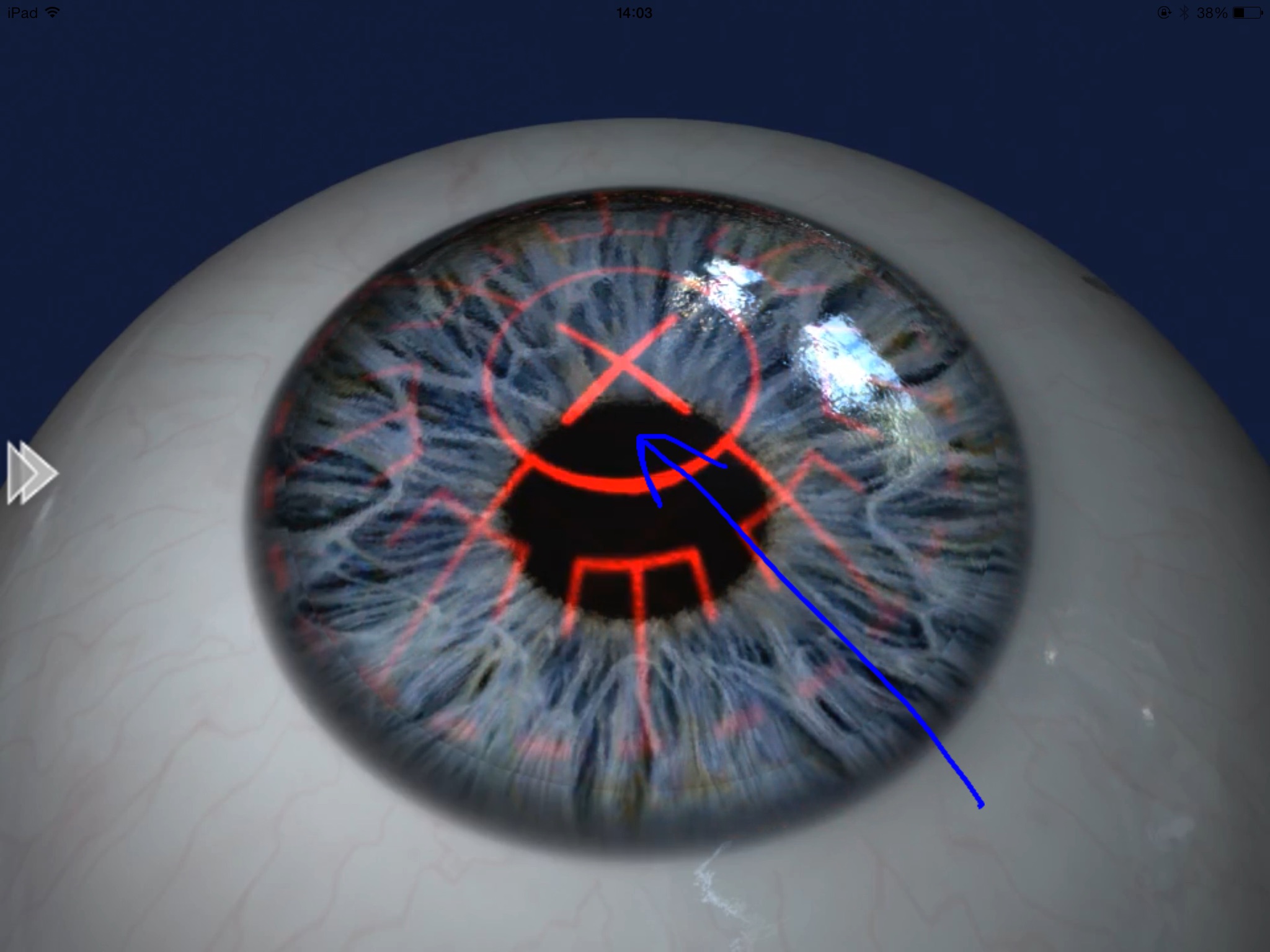 EyeDraw screenshot 3