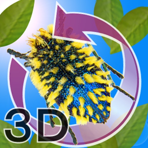 The3D Insects Selection I