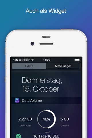 DataVolume - Der Datenverbrauch und Datenvolumen Experte screenshot 2