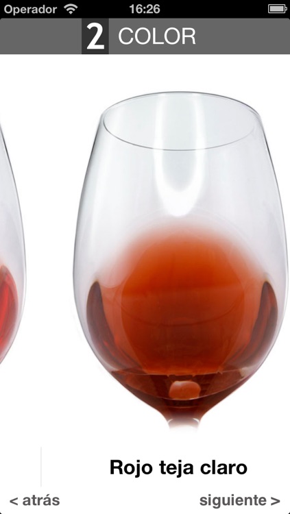 Wine Taste Experience