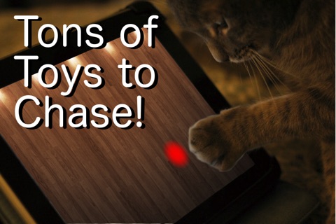 Say Cheese! Games for Cats screenshot 3