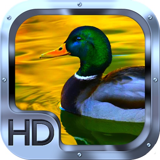 Duck Hunting Master Pro iOS App