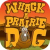 Whack a Prairie Dog