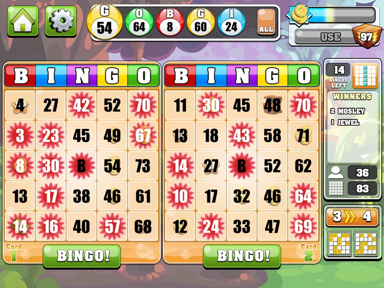 Bingo Casino HD™