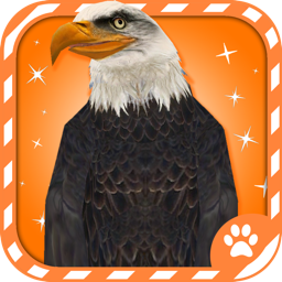 Virtual Pet Eagle