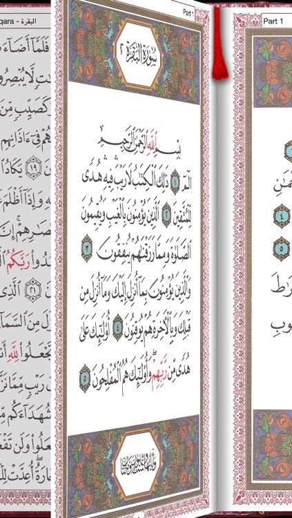 Quran Memorizer - The Holy Quran: Read, Memorize, Search, Translate, and Play Audio.