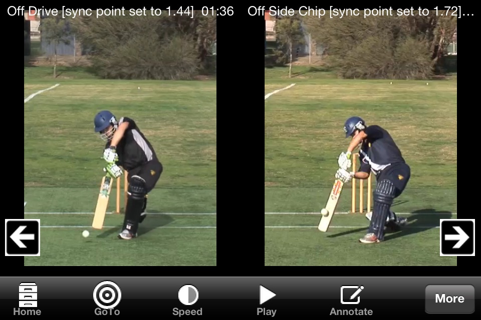 Cricket Coach Plus screenshot 2