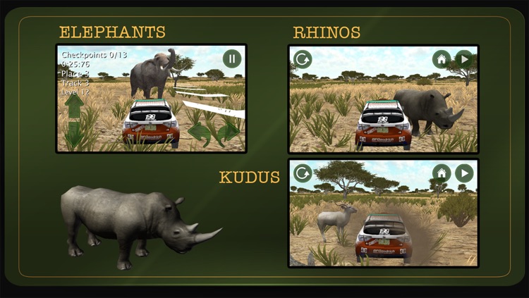 African Rally 2 : Safari 3D Racing