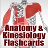 Anatomy & Kinesiology Flashcards