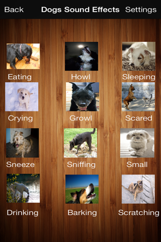 Cats & Dogs Sound Effects Free screenshot 2