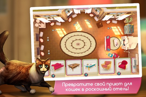 CatHotel - Care for cute cats screenshot 4