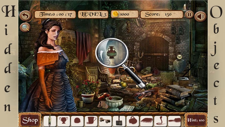 Princess of Dreams Hidden Objects