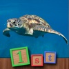 1st GAMES - Life under the sea HD puzzle for kids