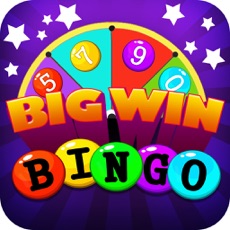 Activities of Bingo Big Win