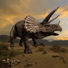 Activities of Triceratops Survival Simulator