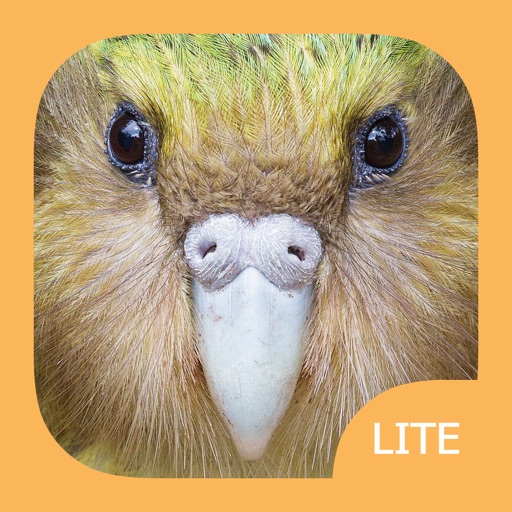 Birds of New Zealand LITE Icon