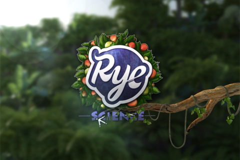 Birds -by Rye Studio™ screenshot 4