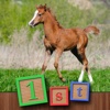 1st GAMES - Ponies and cute foals HD puzzle for kids