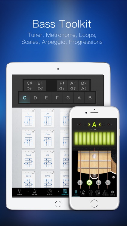 Bass Toolkit - Tuner, Metronome and Chord Progresssions