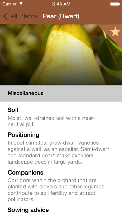 When To Plant