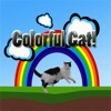 Colorful Cat!