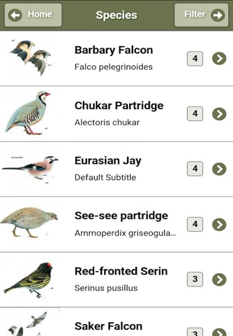 Birds of Peramagroon screenshot 2