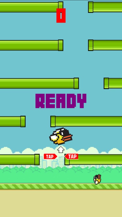 Snappy Bird - New Season