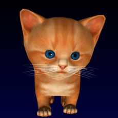 Activities of Cute kitten virtual pet, your own kitty to take care