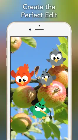 Game screenshot Birds Stickers apk