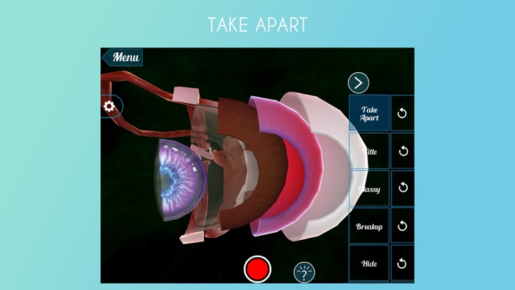 Virtual Reality(VR) Human Eye