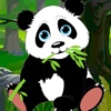 Fall in the jungle : Super panda skydiving - Free Edition