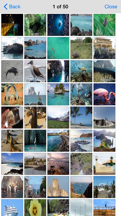 Galapagos Islands Offline Travel Explorer screenshot-4