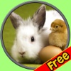 rabbits of my kids - free